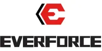 Логотип EverForce