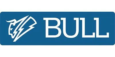 Bull