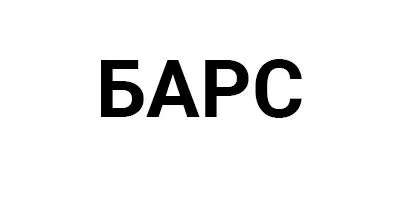 Барс